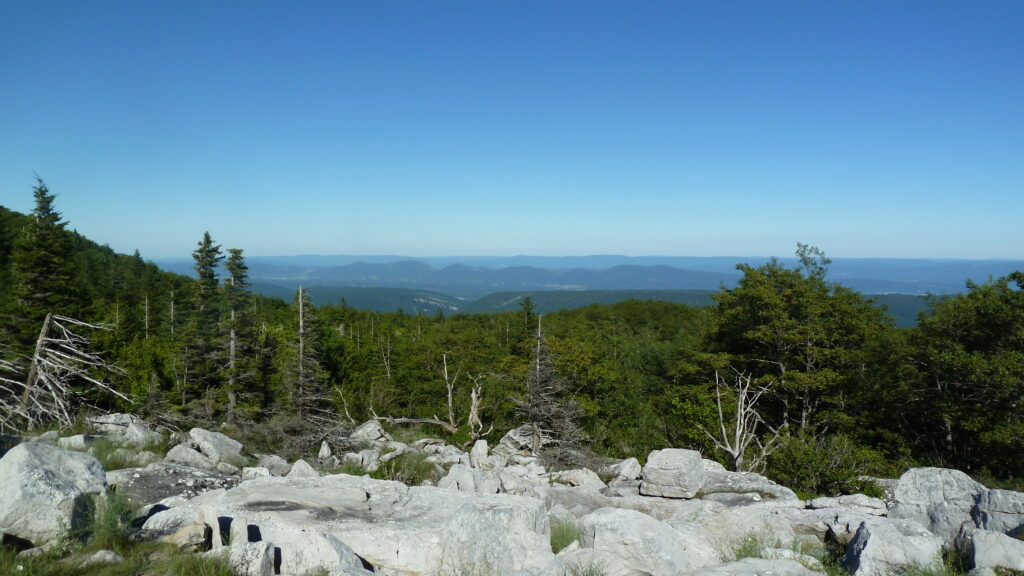 carrie williams allegheny mountains